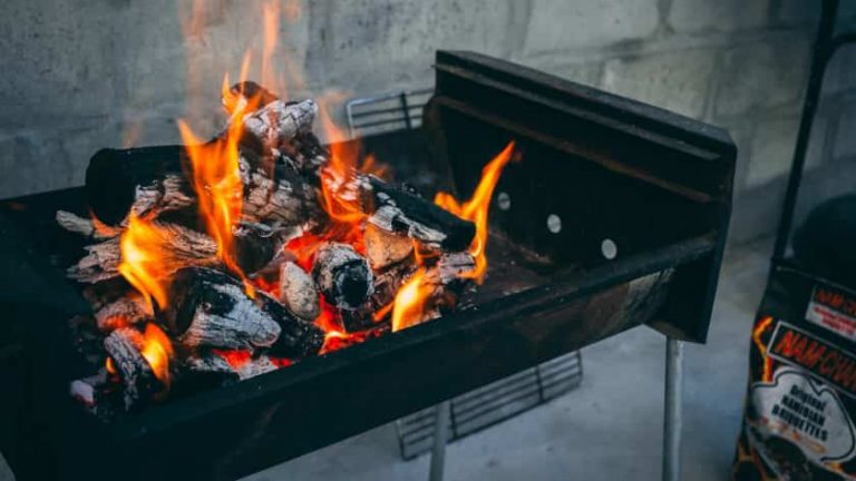 Lump Charcoal vs Briquettes: Which One Better & Why?