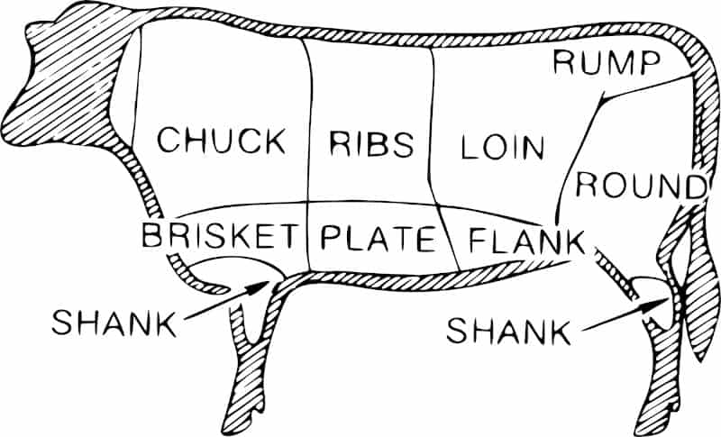 Choosing the Right Brisket - The brisket comes from the pectoral muscle of a cow.