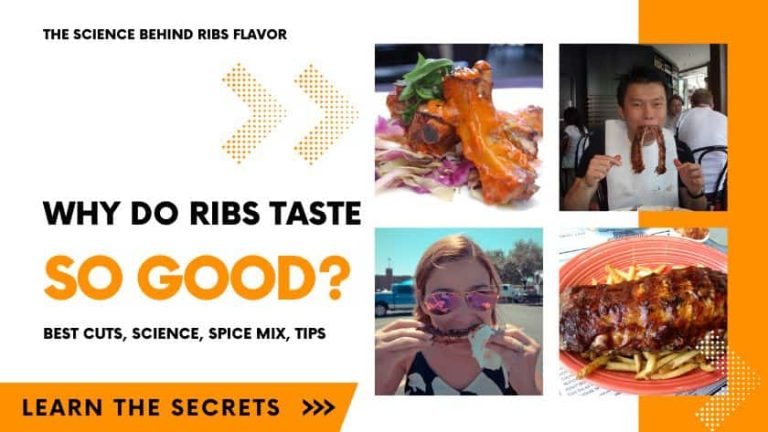 The Science Behind Ribs Flavor: Why Do Ribs Taste So Good?