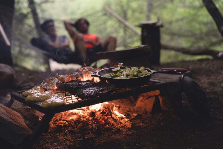 Best Grill for Camping: Top 10 Portable Options 2024